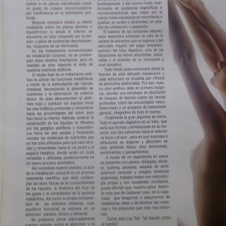 Concepto estético abdomen